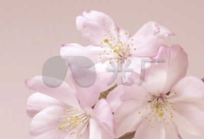 ​关于快乐幸福的阳光心情句子（精选推荐）