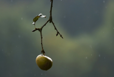 ​关于感伤心情的文艺美好句子（精选推荐）