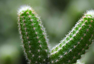 ​表达幸福快乐的句子_阳光心情语录（精选推荐）