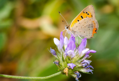 ​关于来到大海边的心情感受说说文案