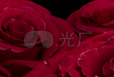 ​关于2024心灵鸡汤每天一心情语录