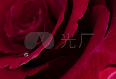 ​关于2024光棍节的心情句子 光棍节的说说大全（精选）