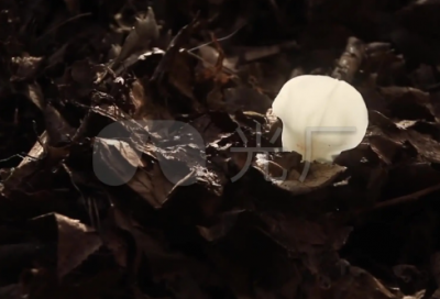 ​关于下雨天的心情经典句子 下雨了怎么发朋友圈