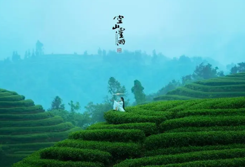 ​关于2024深夜下雨的伤感句子