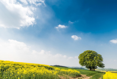 ​适合日出的朋友圈句子