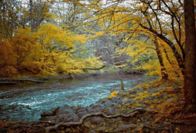 ​秋天到了的朋友圈文案(45句)