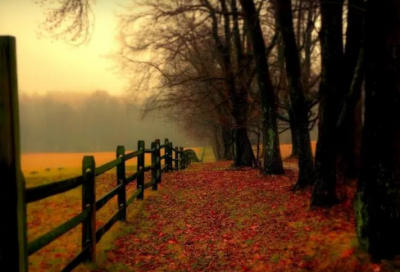 ​晚上开车发朋友圈的句子(43句)