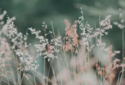 ​姐妹合照发朋友圈怎么写