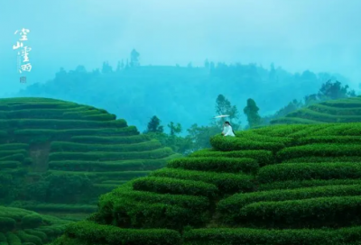 ​发朋友圈早上空气清晰的精美句子