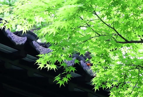 ​祝自己生日快乐低调的句子发朋友圈