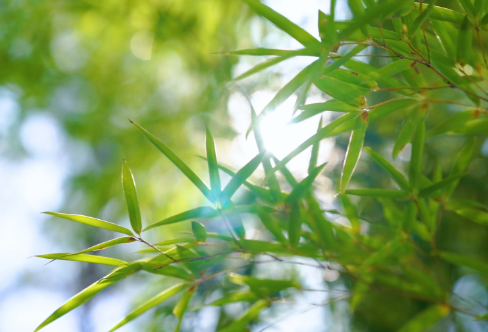 ​在医院看病适合发朋友圈的句子