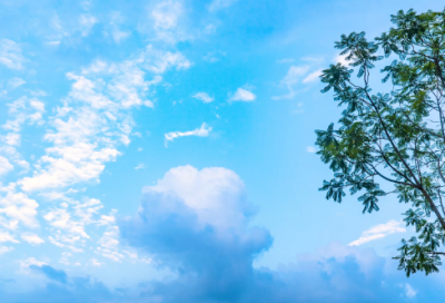 ​发朋友圈感谢别人的话(汇总26句)