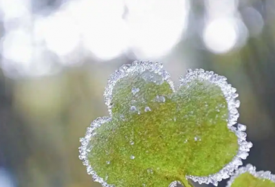 ​清晨说说发朋友圈励志语