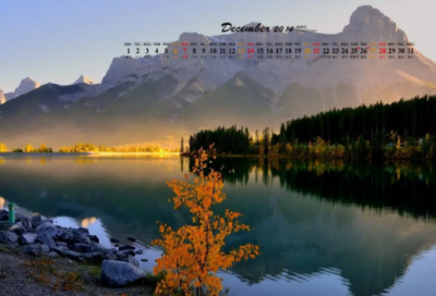 ​朋友圈有关熬夜的段子