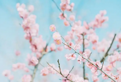 ​2024早安励志精辟语录