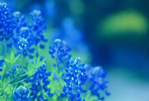 1710696087285359.png image.png