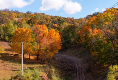 ​中国牛逼老总的经典语录