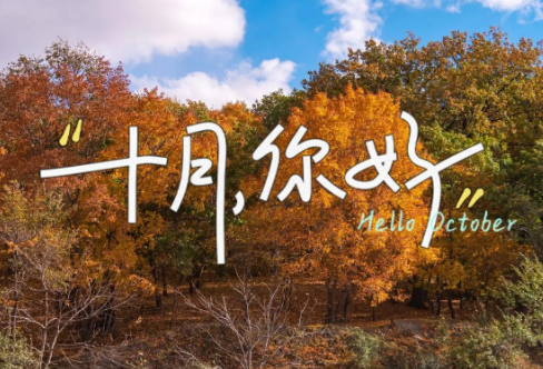 1710697095523026.png image.png