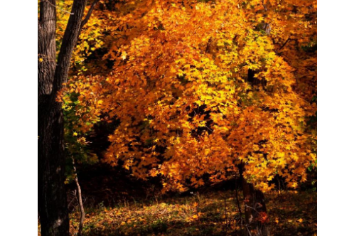 1710697431736152.png image.png