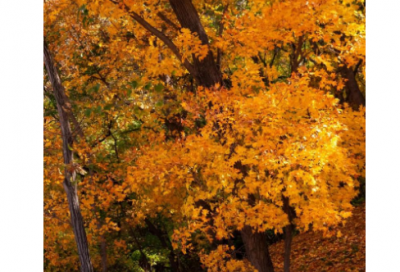 ​后来时间都与你有关经典语录