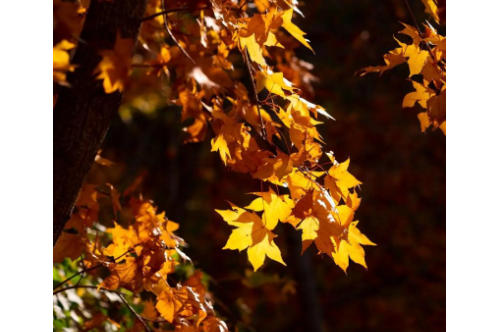 1710697765343162.png image.png