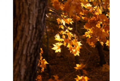 ​让人心疼虐心语录全集