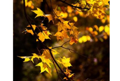 ​林俊杰经典歌词_经典台词