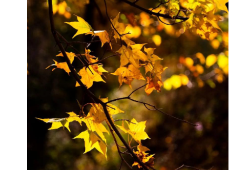 1710698102310279.png image.png