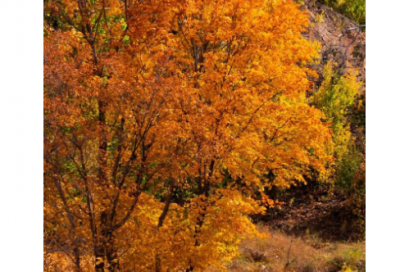 ​2024励志早安正能量语录