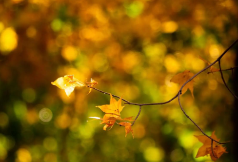 1710698942396665.png image.png