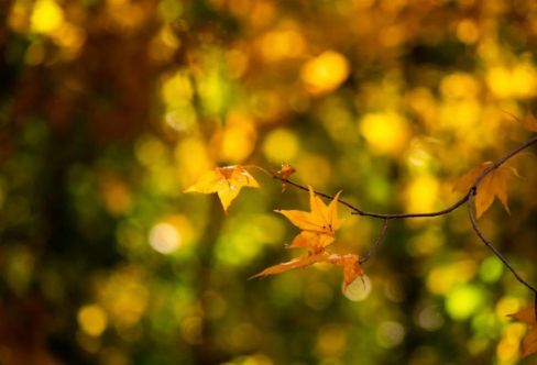 1710699109924225.png image.png