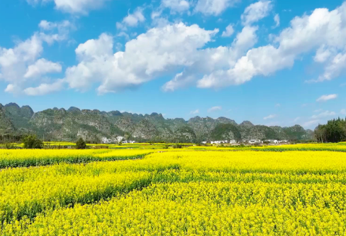 1710699447410866.png image.png