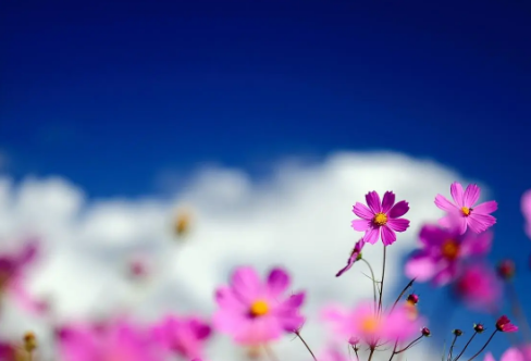 1710699948360104.png image.png