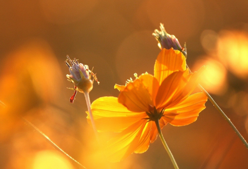 1710701123435688.png image.png