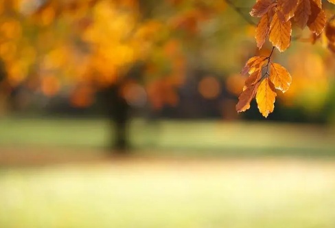 1710701795933544.png image.png