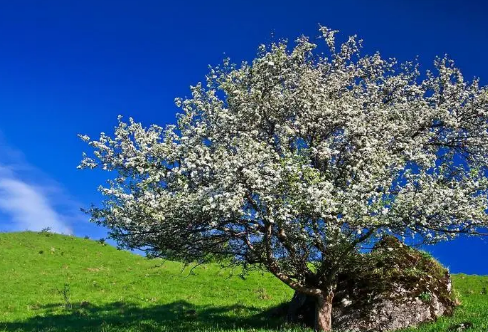 1710704650271364.png image.png