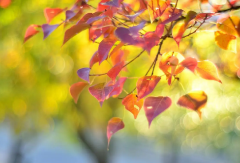 1710704816180569.png image.png