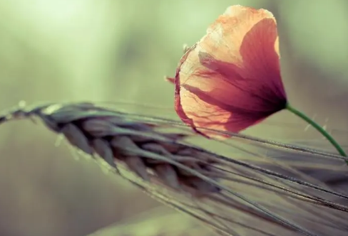 1710705488607625.png image.png