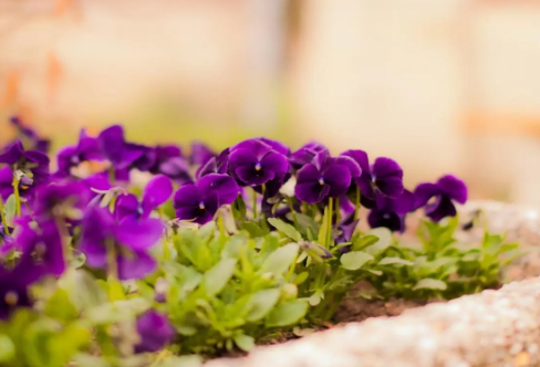 1710705997523415.png image.png