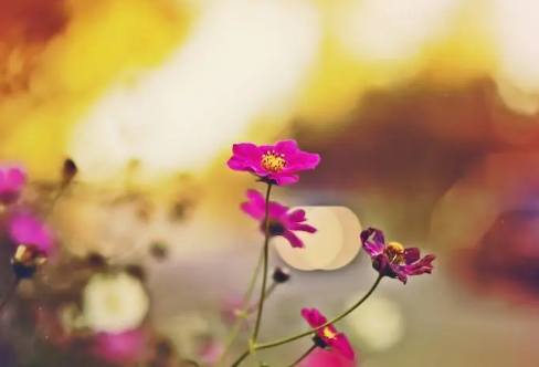 1710706327356187.png image.png