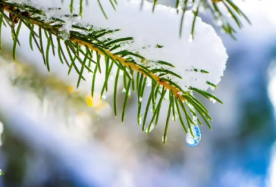 ​成熟稳重的话