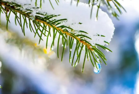 1710706495427002.png image.png