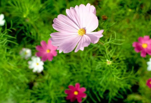 1710706664926181.png image.png