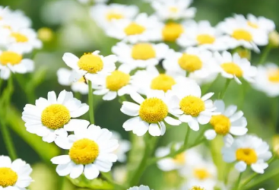 ​温柔的话语经典语录