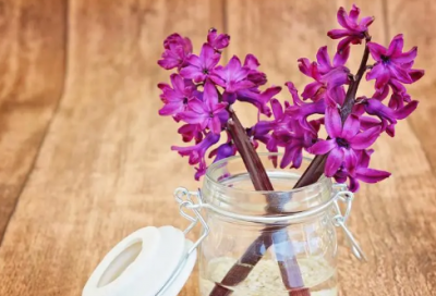 ​阿信经典歌词_经典台词