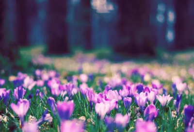 ​炫舞手游伴侣誓言