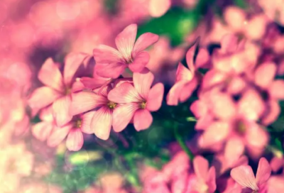 ​qq炫舞伴侣誓言