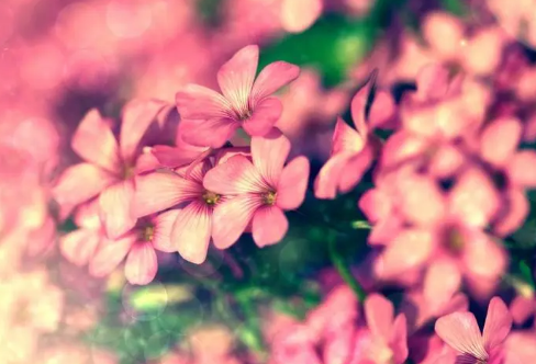 1710707836262162.png image.png