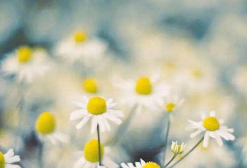 1710708675500389.png image.png