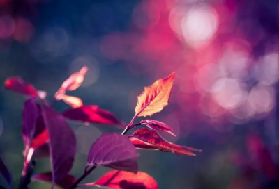 ​2024心情好的语句